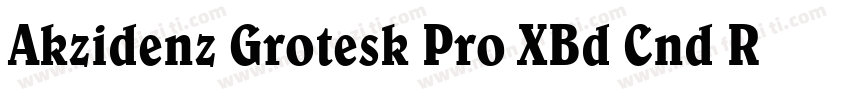 Akzidenz Grotesk Pro XBd Cnd Regul字体转换